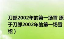 刀郎2002年的第一场雪 原唱原伴奏卡拉OK专辑(VCD)（关于刀郎2002年的第一场雪 原唱原伴奏卡拉OK专辑(VCD)介绍）