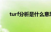 turf分析是什么意思（turf什么意思）