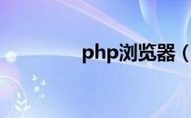 php浏览器（php阅读器）