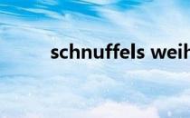 schnuffels weihnachtslied歌词