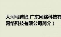 大河马跨境 广东网络科技有限公司（关于大河马跨境 广东网络科技有限公司简介）