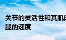 关节的灵活性和其肌肉力量是如何影响游泳打腿的速度