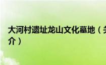 大河村遗址龙山文化墓地（关于大河村遗址龙山文化墓地简介）