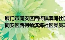 厦门市同安区西柯镇滨海社区党员志愿服务队（关于厦门市同安区西柯镇滨海社区党员志愿服务队介绍）