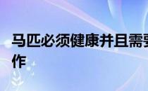 马匹必须健康并且需要结实的肌肉以胜任其工作