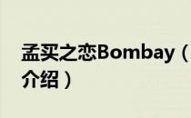 孟买之恋Bombay（关于孟买之恋Bombay介绍）