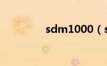 sdm1000（sd ct10000）