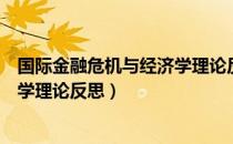 国际金融危机与经济学理论反思（关于国际金融危机与经济学理论反思）