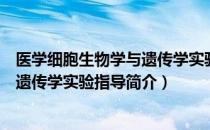 医学细胞生物学与遗传学实验指导（关于医学细胞生物学与遗传学实验指导简介）