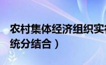 农村集体经济组织实行什么为基础统分结合（统分结合）