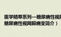 医学精萃系列—糖尿病性视网膜病变（关于医学精萃系列—糖尿病性视网膜病变简介）