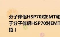 分子伴侣HSP70对EMT和肾间质纤维化的影响和机制（关于分子伴侣HSP70对EMT和肾间质纤维化的影响和机制介绍）