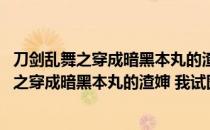 刀剑乱舞之穿成暗黑本丸的渣婶 我试图咸鱼（关于刀剑乱舞之穿成暗黑本丸的渣婶 我试图咸鱼介绍）