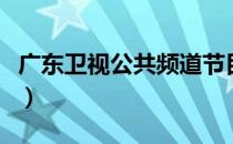 广东卫视公共频道节目单（广东卫视公共频道）