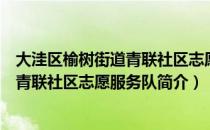 大洼区榆树街道青联社区志愿服务队（关于大洼区榆树街道青联社区志愿服务队简介）