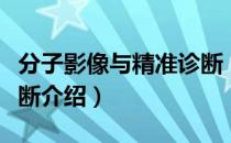 分子影像与精准诊断（关于分子影像与精准诊断介绍）