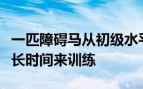 一匹障碍马从初级水平到大奖赛能力水平需要长时间来训练