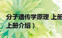 分子遗传学原理 上册（关于分子遗传学原理 上册介绍）