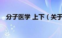 分子医学 上下（关于分子医学 上下介绍）