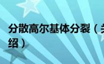 分散高尔基体分裂（关于分散高尔基体分裂介绍）