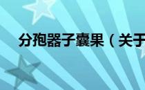 分孢器子囊果（关于分孢器子囊果介绍）