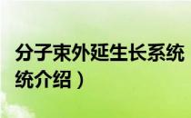 分子束外延生长系统（关于分子束外延生长系统介绍）