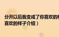 分开以后我变成了你喜欢的样子（关于分开以后我变成了你喜欢的样子介绍）