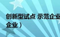 创新型试点 示范企业（关于创新型试点 示范企业）