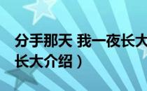 分手那天 我一夜长大（关于分手那天 我一夜长大介绍）