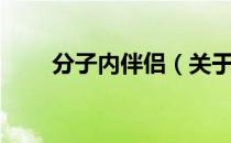 分子内伴侣（关于分子内伴侣介绍）