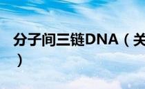 分子间三链DNA（关于分子间三链DNA介绍）