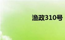 渔政310号（渔政310）