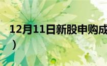 12月11日新股申购成功（12月11日新股申购）