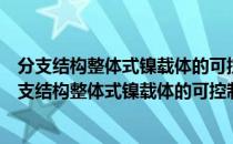 分支结构整体式镍载体的可控制备及形成机理研究（关于分支结构整体式镍载体的可控制备及形成机理研究介绍）