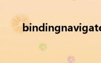 bindingnavigator控件图标不显示