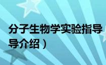 分子生物学实验指导（关于分子生物学实验指导介绍）