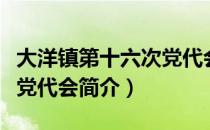 大洋镇第十六次党代会（关于大洋镇第十六次党代会简介）