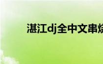 湛江dj全中文串烧2020（湛江dj）