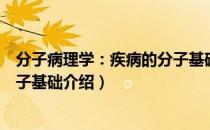 分子病理学：疾病的分子基础（关于分子病理学：疾病的分子基础介绍）