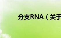 分支RNA（关于分支RNA介绍）