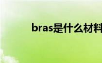 bras是什么材料（bras是什么）