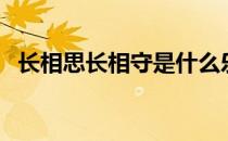 长相思长相守是什么乐器（长相思长相守）