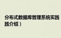 分布式数据库管理系统实践（关于分布式数据库管理系统实践介绍）