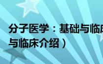 分子医学：基础与临床（关于分子医学：基础与临床介绍）