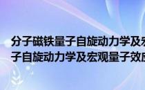 分子磁铁量子自旋动力学及宏观量子效应（关于分子磁铁量子自旋动力学及宏观量子效应介绍）