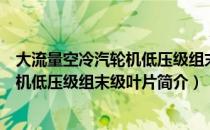 大流量空冷汽轮机低压级组末级叶片（关于大流量空冷汽轮机低压级组末级叶片简介）