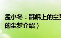 孟小冬：氍毹上的尘梦（关于孟小冬：氍毹上的尘梦介绍）