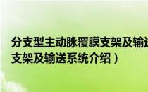 分支型主动脉覆膜支架及输送系统（关于分支型主动脉覆膜支架及输送系统介绍）