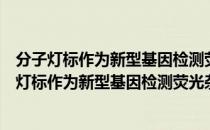 分子灯标作为新型基因检测荧光杂交探针的研究（关于分子灯标作为新型基因检测荧光杂交探针的研究介绍）