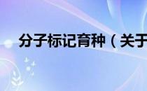 分子标记育种（关于分子标记育种介绍）